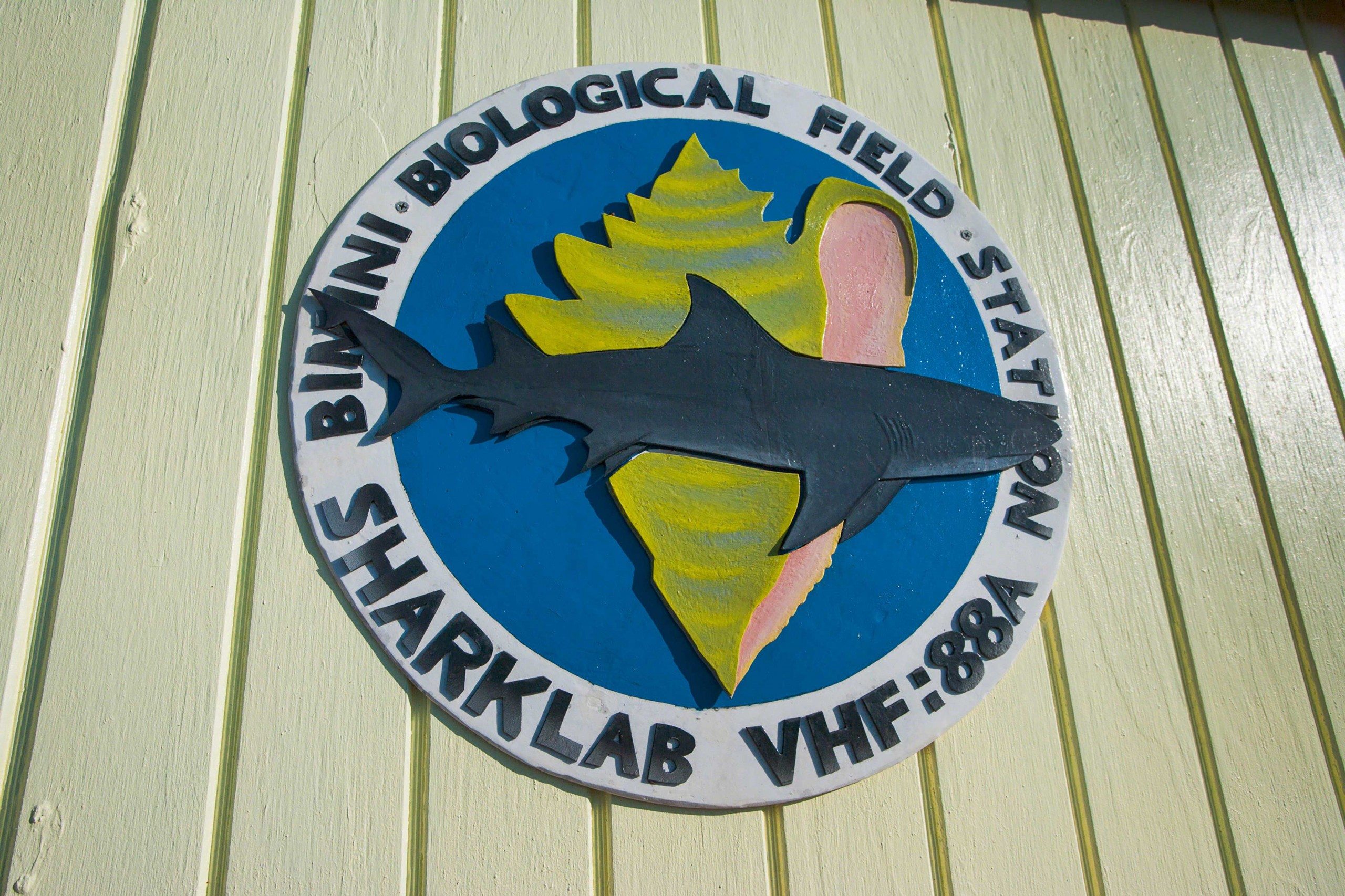BBFS-Logo